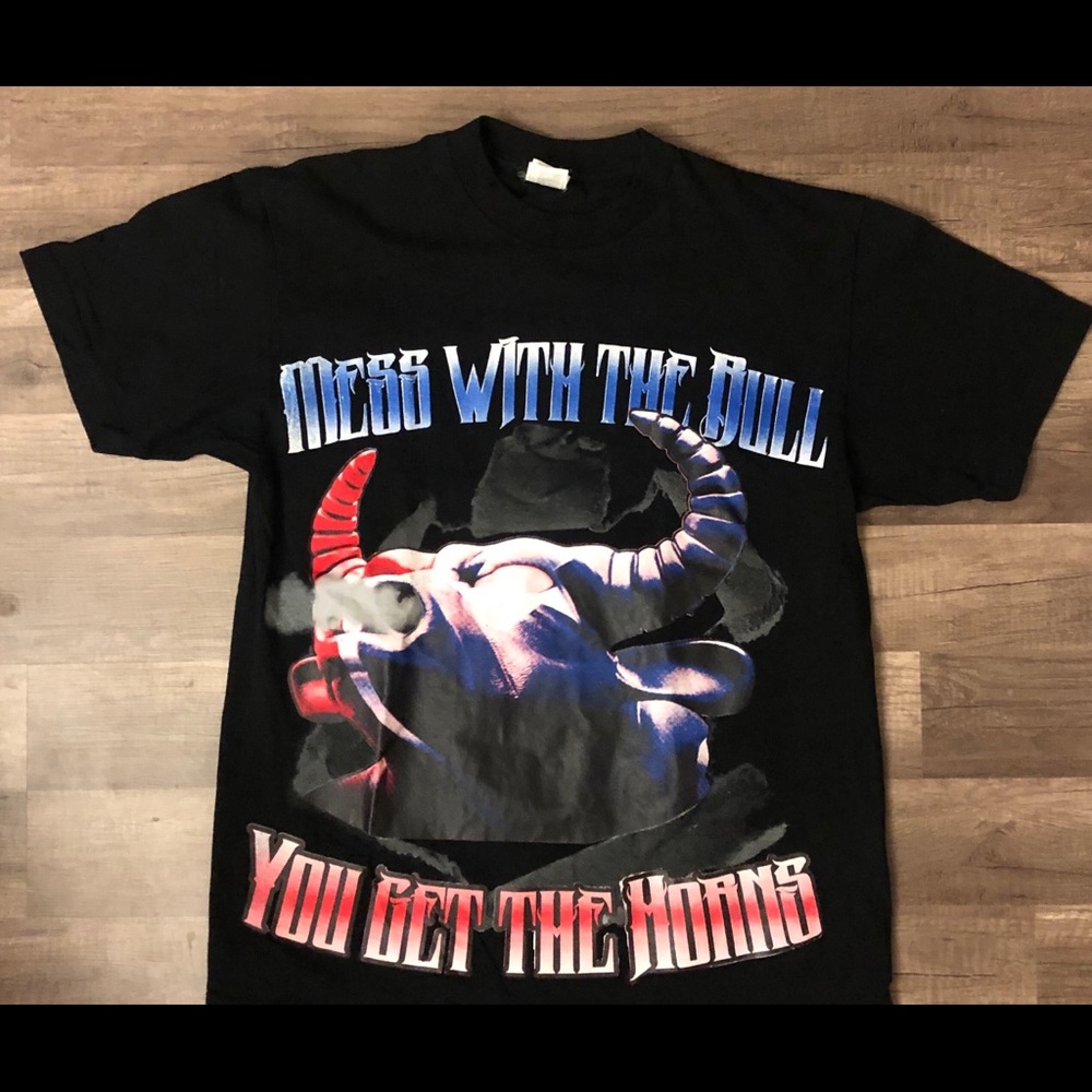 HOUSTON TEXANS BULL